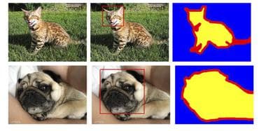 Oxford-IIIT Pet Dataset